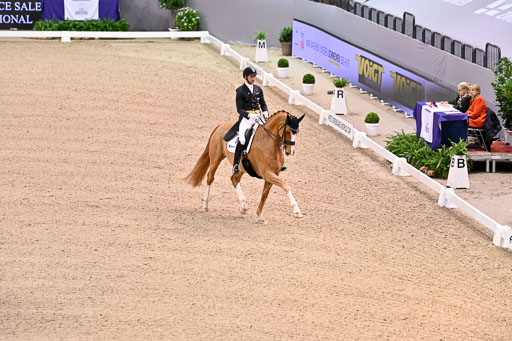  | Kittel, Patrik - Blue Horse Zepter - OLDBG_24 