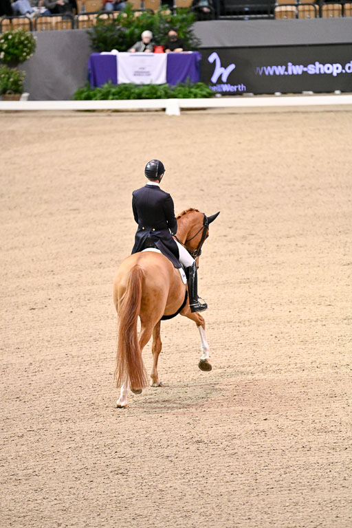  | Kittel, Patrik - Blue Horse Zepter - OLDBG_26 