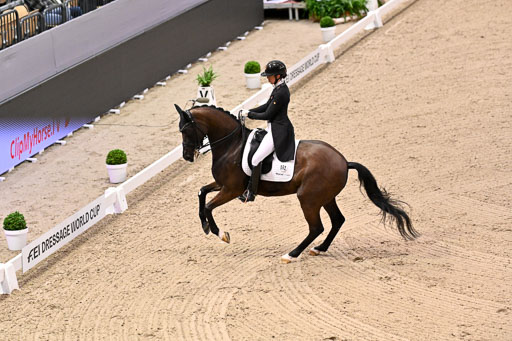  | Krüth, Carina Cassoe - Heilines Danciera - DWB_20 