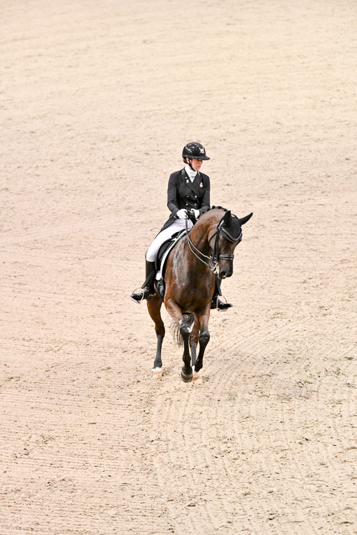  | Krüth, Carina Cassoe - Heilines Danciera - DWB_24 