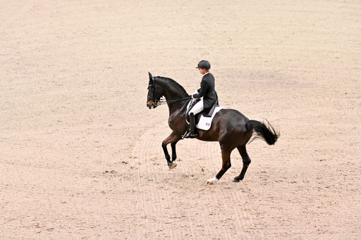  | Max Theurer, Viktoria - Abegglen - WESTF_13 