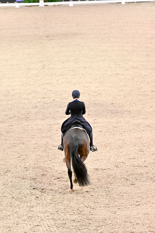  | Merrald, Nanna Skodborg - Atterupgaards Orthilia - OLDBG_03 