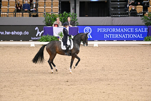  | Merrald, Nanna Skodborg - Atterupgaards Orthilia - OLDBG_06 