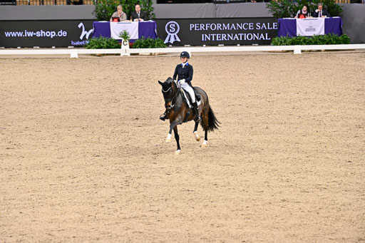  | Merrald, Nanna Skodborg - Atterupgaards Orthilia - OLDBG_12 