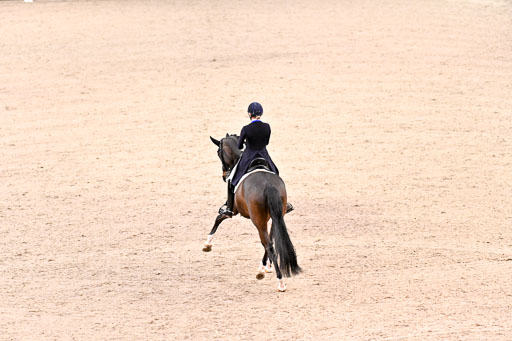  | Merrald, Nanna Skodborg - Atterupgaards Orthilia - OLDBG_13 