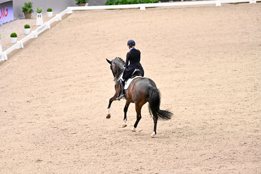  | Merrald, Nanna Skodborg - Atterupgaards Orthilia - OLDBG_19 