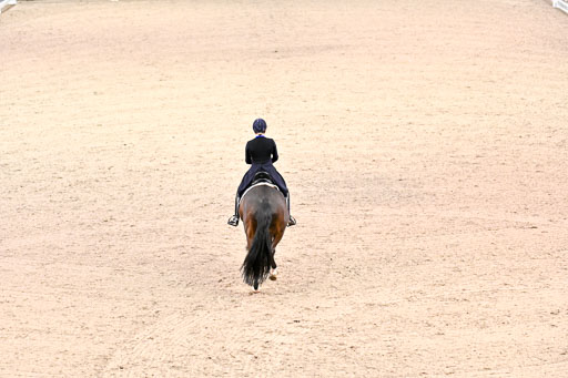  | Merrald, Nanna Skodborg - Atterupgaards Orthilia - OLDBG_20 