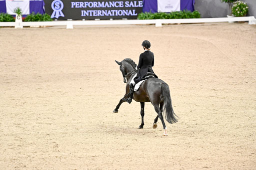  | Nekemann, Denise - Boston Sth - KWPN 