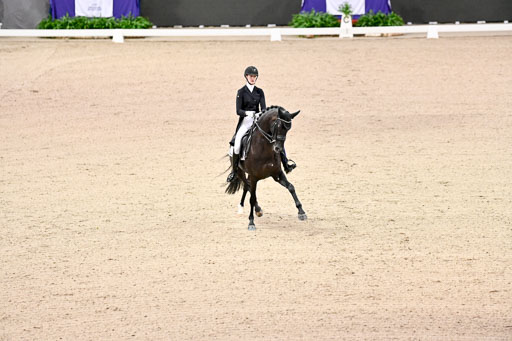  | Nekemann, Denise - Boston Sth - KWPN_02 