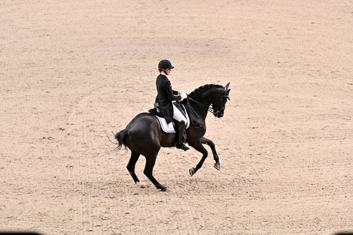  | Nekemann, Denise - Boston Sth - KWPN_09 