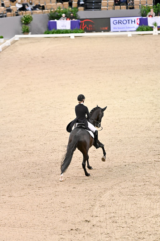  | Nekemann, Denise - Boston Sth - KWPN_11 