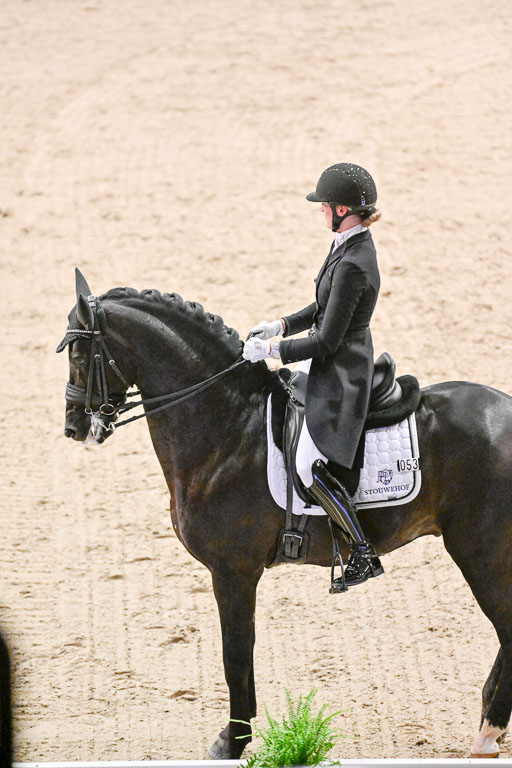  | Nekemann, Denise - Boston Sth - KWPN_14 