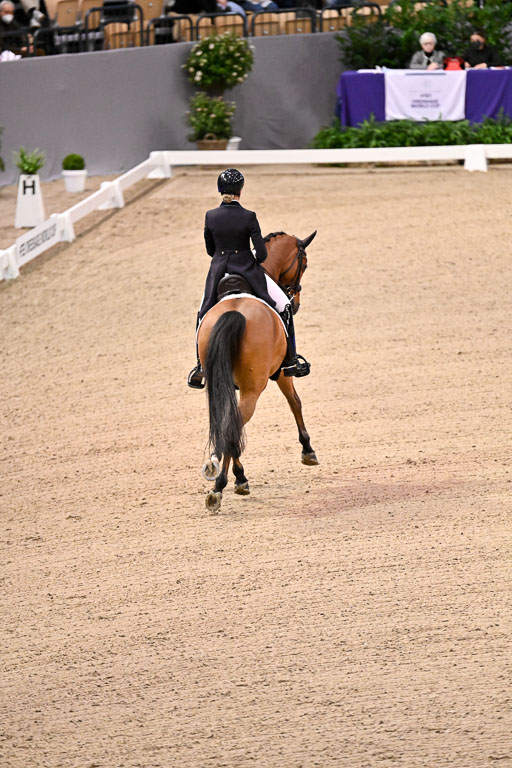  | Ramel, Antonia - Curiosity - HOLST_02 