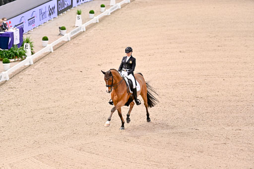  | Ramel, Antonia - Curiosity - HOLST_06 