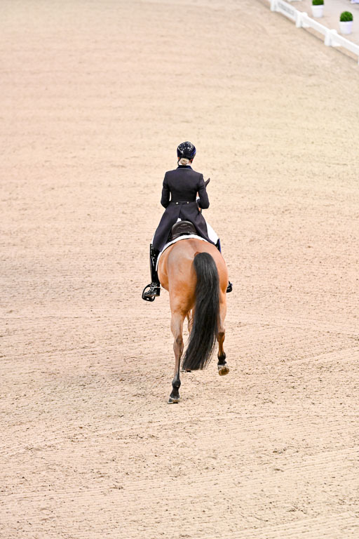  | Ramel, Antonia - Curiosity - HOLST_08 