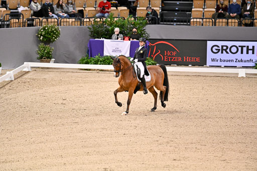  | Ramel, Antonia - Curiosity - HOLST_09 