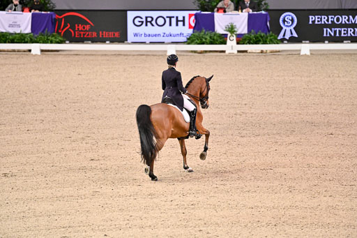  | Ramel, Antonia - Curiosity - HOLST_11 