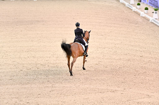  | Ramel, Antonia - Curiosity - HOLST_13 