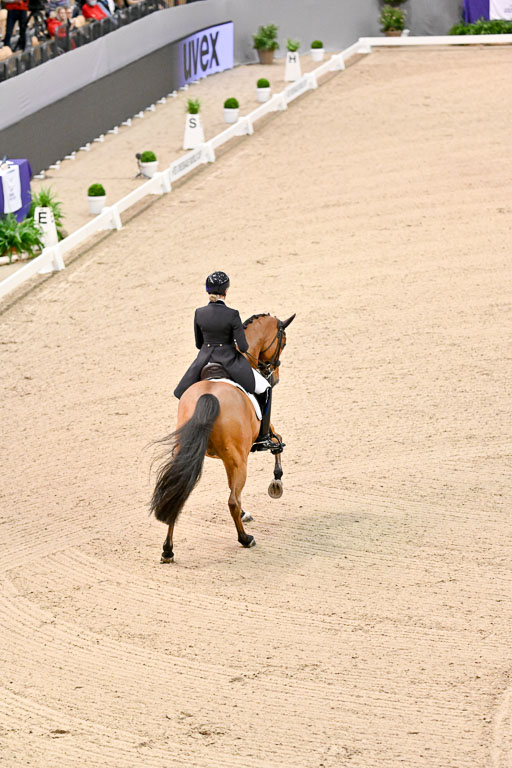  | Ramel, Antonia - Curiosity - HOLST_16 