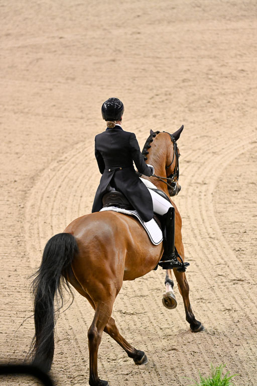  | Ramel, Antonia - Curiosity - HOLST_20 