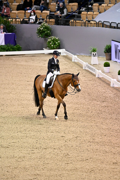  | Ramel, Antonia - Curiosity - HOLST_23 