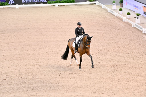  | Werth, Isabell - DSP Quntaz - BrAnh_01 