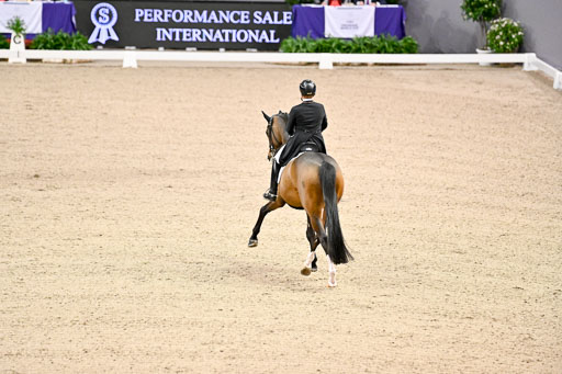  | Werth, Isabell - DSP Quntaz - BrAnh_04 