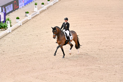  | Werth, Isabell - DSP Quntaz - BrAnh_06 