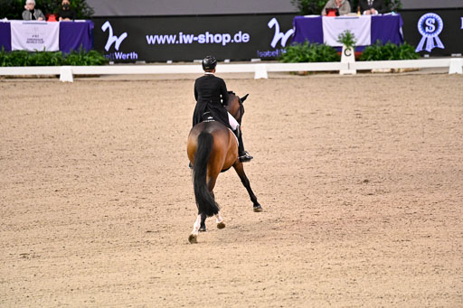  | Werth, Isabell - DSP Quntaz - BrAnh_07 