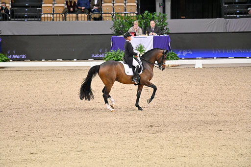 FEI Grand Prix Kür