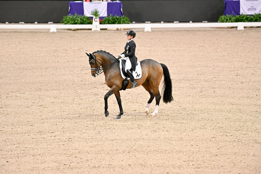  | Werth, Isabell - DSP Quntaz - BrAnh_12 