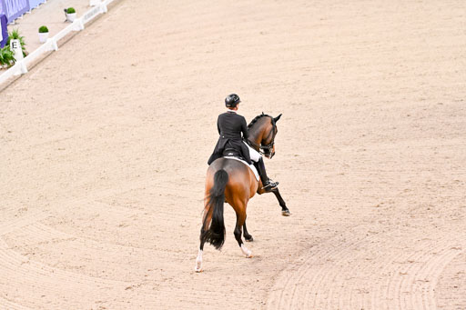  | Werth, Isabell - DSP Quntaz - BrAnh_15 