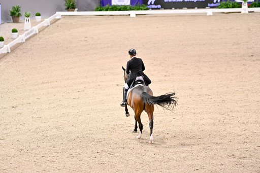  | Werth, Isabell - DSP Quntaz - BrAnh_19 