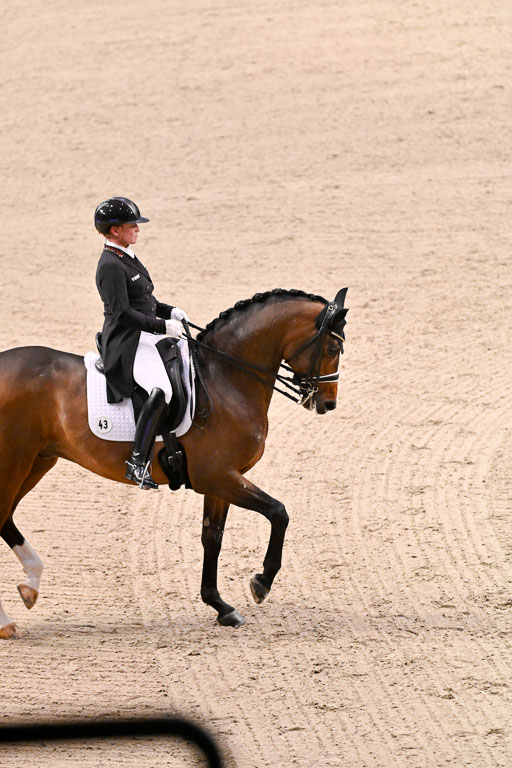  | Werth, Isabell - DSP Quntaz - BrAnh_22 