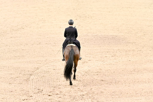  | Bredemeier, Ants - Download 2 - OLD_01 