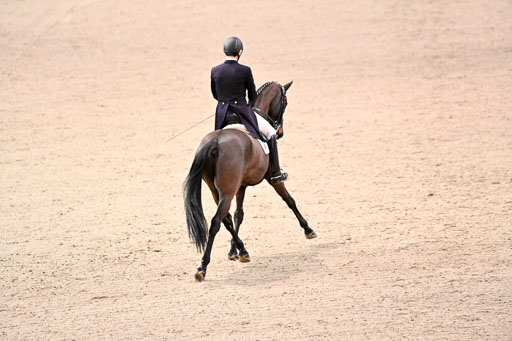  | Bredemeier, Ants - Download 2 - OLD_09 