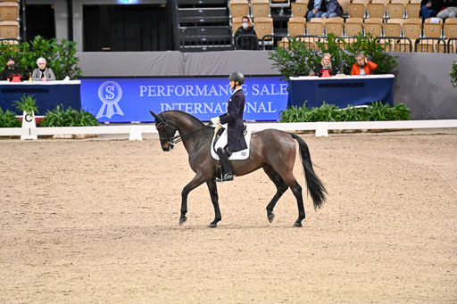  | Bredemeier, Ants - Download 2 - OLD_11 