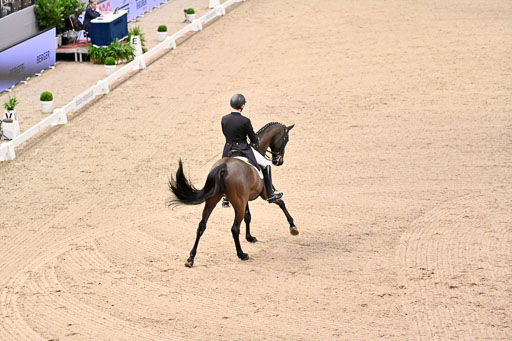  | Bredemeier, Ants - Download 2 - OLD_15 