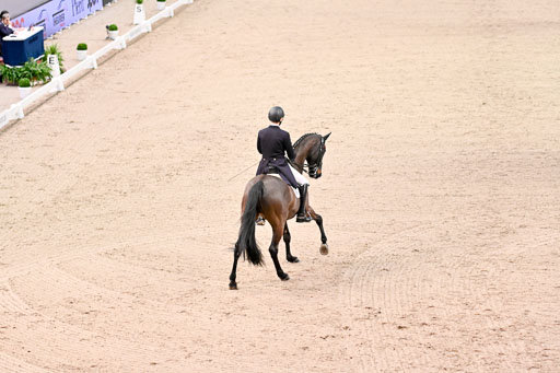  | Bredemeier, Ants - Download 2 - OLD_16 