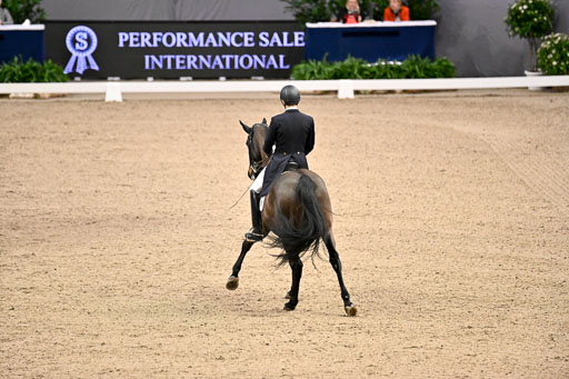  | Bredemeier, Ants - Download 2 - OLD_18 