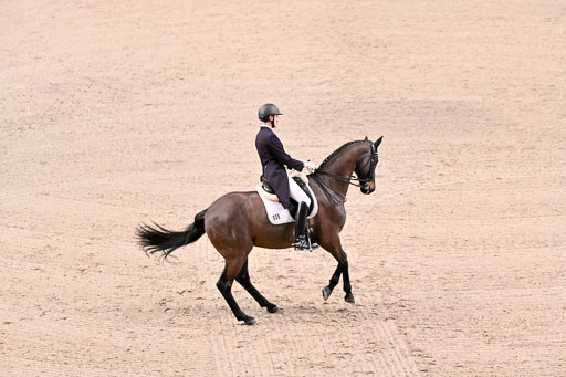  | Bredemeier, Ants - Download 2 - OLD_21 