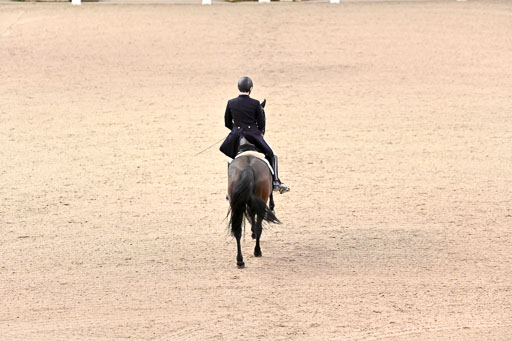  | Bredemeier, Ants - Download 2 - OLD_22 