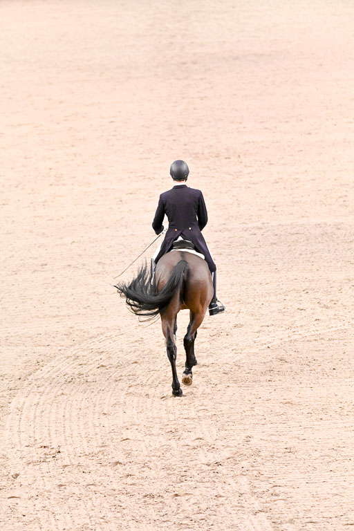  | Bredemeier, Ants - Download 2 - OLD_25 