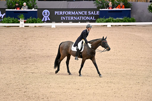  | Bredemeier, Ants - Download 2 - OLD_26 