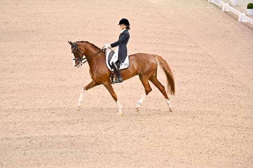  | Dungern, Antonia von - DSP Queen Rubin - BrAnh 