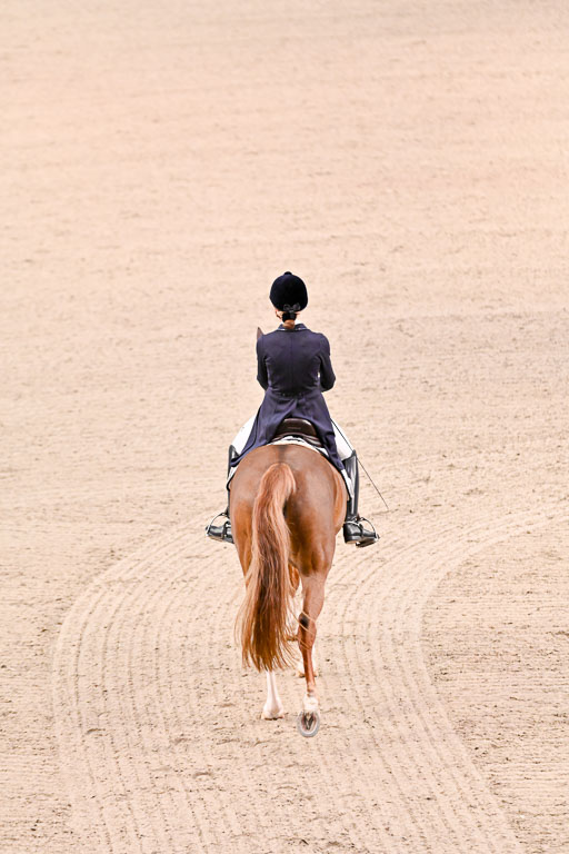  | Dungern, Antonia von - DSP Queen Rubin - BrAnh_02 