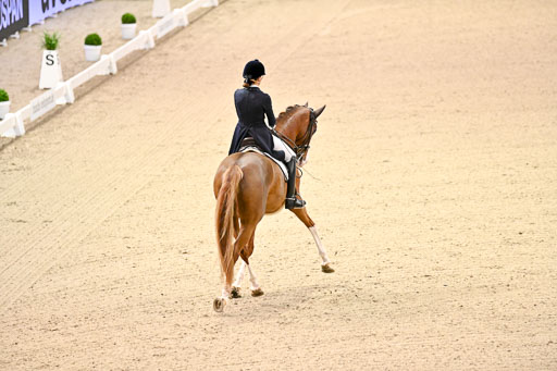  | Dungern, Antonia von - DSP Queen Rubin - BrAnh_07 