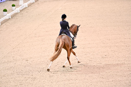  | Dungern, Antonia von - DSP Queen Rubin - BrAnh_09 