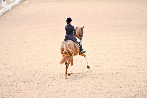  | Dungern, Antonia von - DSP Queen Rubin - BrAnh_10 