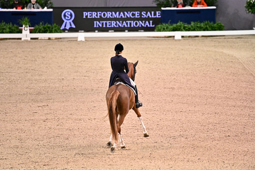  | Dungern, Antonia von - DSP Queen Rubin - BrAnh_12 